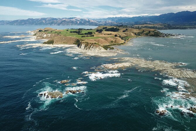 Kaikōura Day Tour From Christchurch (Small Group, Carbon Neutral) - Why Kaikōura makes a strong day trip from Christchurch