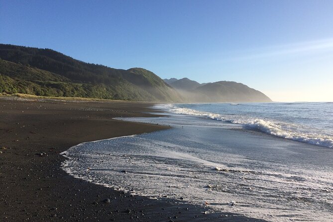 Kaikōura Day Tour From Christchurch (Small Group, Carbon Neutral) - Comfort, language and practical details