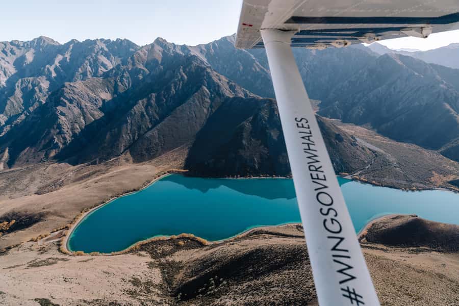 Kaikoura: Extended Flight Whale Watching & Mountain Tour - Starting at 617 State Highway 1