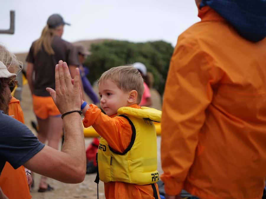 Kaikoura: Guided Family Kayaking Adventure - Up to two hours among seals and seabirds