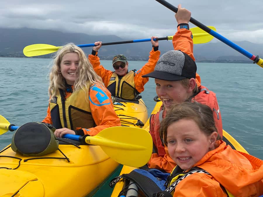 Kaikoura: Guided Family Kayaking Adventure - What the $95 price gives you