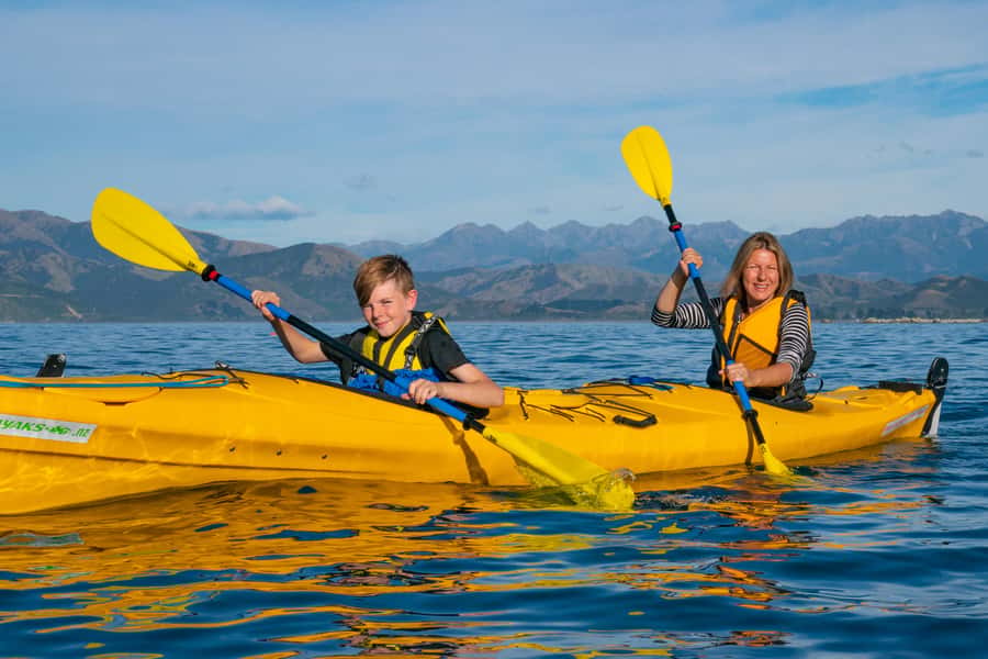 Kaikoura: Guided Family Kayaking Adventure - Practical packing advice