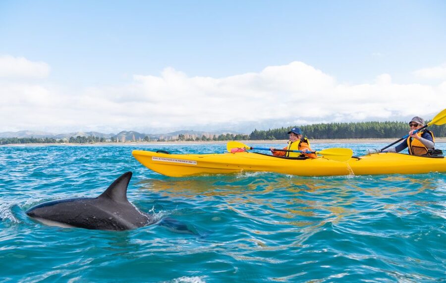 Kaikoura: Guided Family Kayaking Adventure - Cancellation and group size