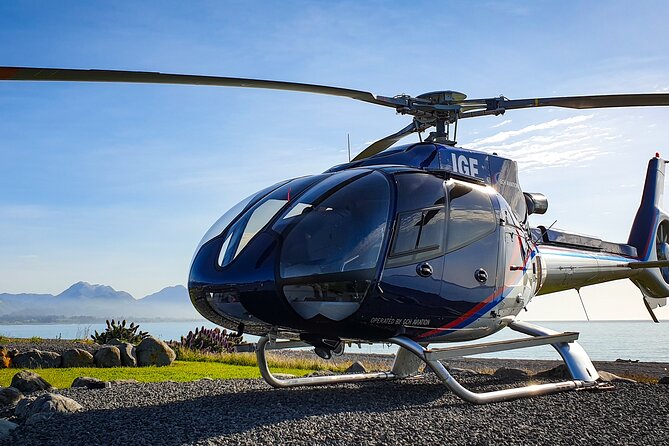 Kaikoura Helicopters Extended Whale Watch - Dolphins, seals, and passing baleen whales
