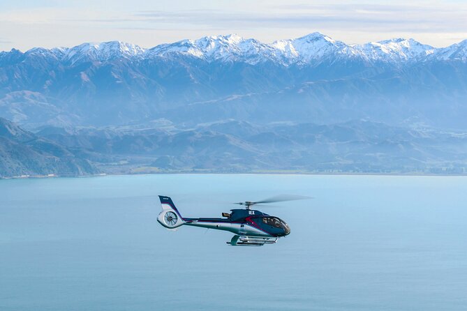 Kaikoura Helicopters Top n Tail Whale Watch flight - Key points to know before you book