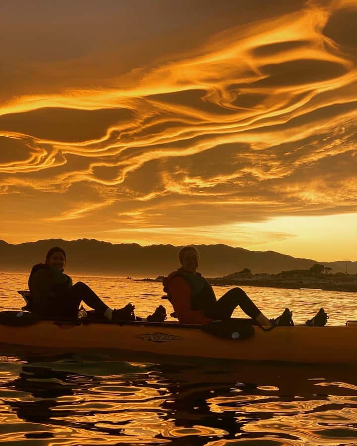 Kaikōura: Kayak Sunset Tour with Seal Sightings - Why the sunset setting makes this trip special