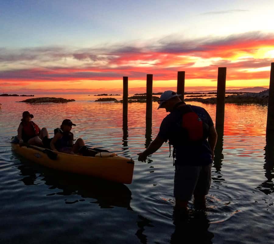 Kaikōura: Kayak Sunset Tour with Seal Sightings - Should you book the SealKayakKaikoura sunset tour?