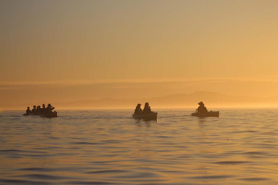 Kaikōura: Kayak Sunset Tour with Seal Sightings - A calm start with a 15-minute safety briefing