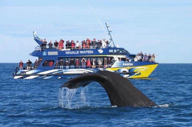 Kaikoura Private Whale Watching Day Trip from Christchurch - The Christchurch to Kaikoura road journey