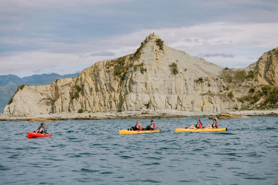 Kaikoura: Seal-Watching Pedal Kayak Tour - What to bring and what to leave behind