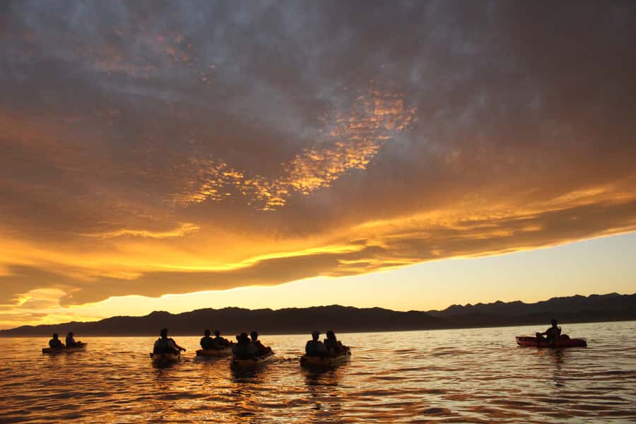 Kaikoura: Seal-Watching Pedal Kayak Tour - Guides who add more than instructions