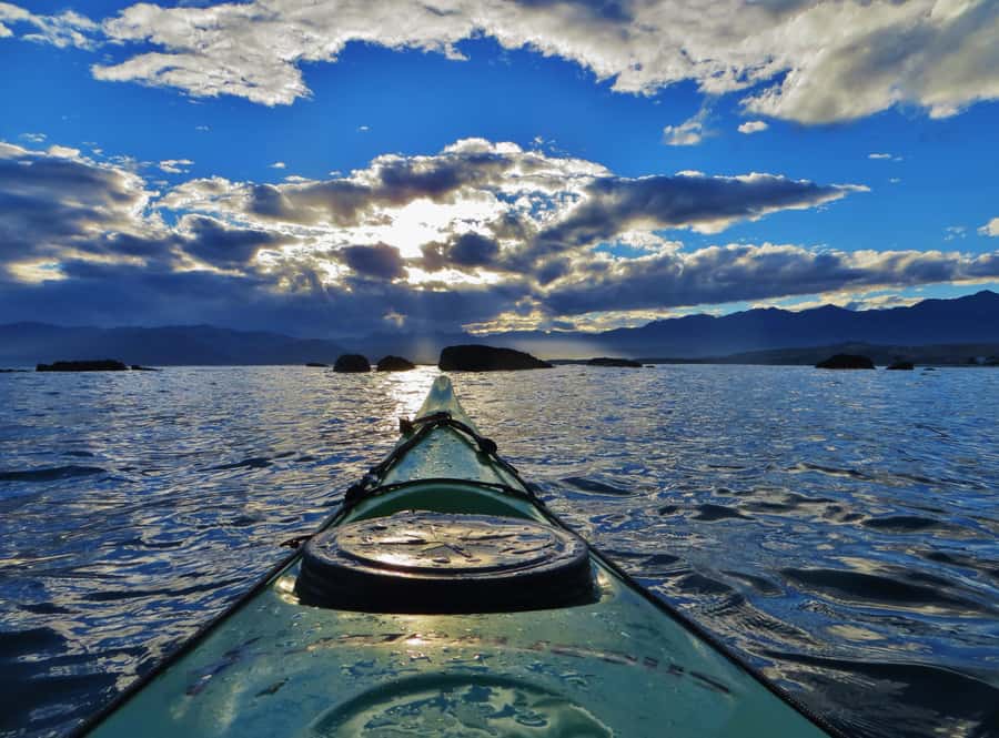 Kaikoura: Sunset Evening Kayaking Tour - Dolphins, penguins, birds, and lucky surprises