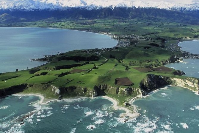 Kaikoura Swim with Dolphins Tour from Christchurch - The 7:00 am departure from Christchurch