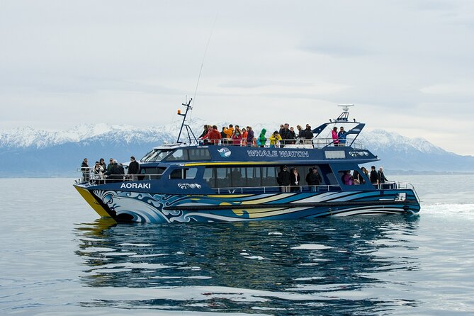 Kaikoura Whale and Dolphin Overnight Tour from Christchurch - Kaikōura’s whales from the water