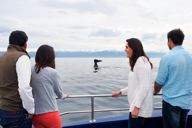 Kaikoura Whale Watch Day Tour from Christchurch - Why Kaikoura is such a strong whale-watching spot