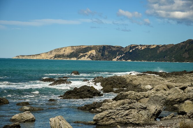 Kaikoura Whale Watch Tour from Christchurch - Small Group - Hundalee Hills and the fur seal stop
