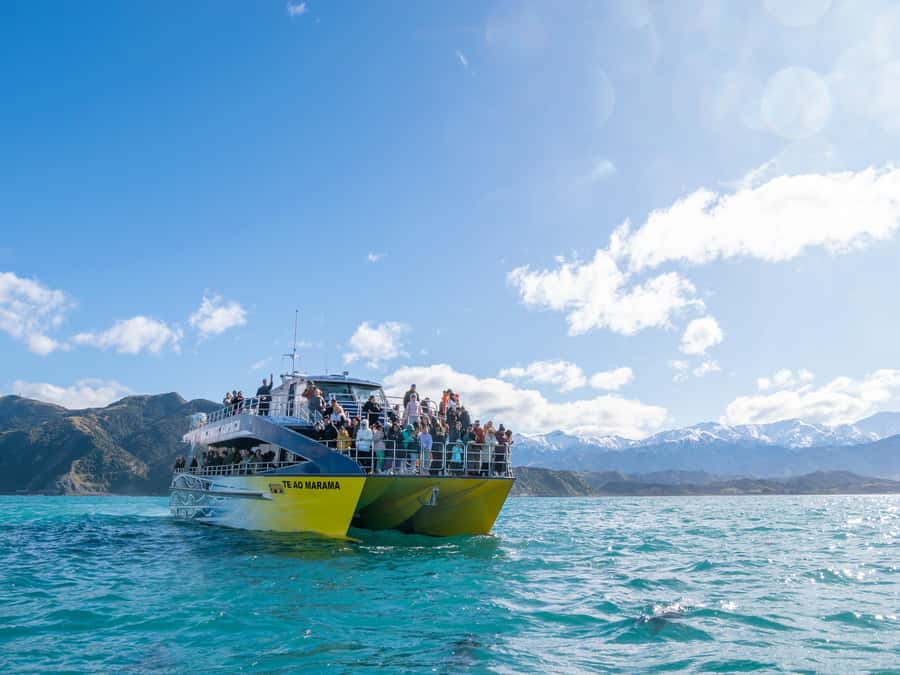 Kaikoura: Whale Watching Cruise - Why Kaikoura is such a good place for whales