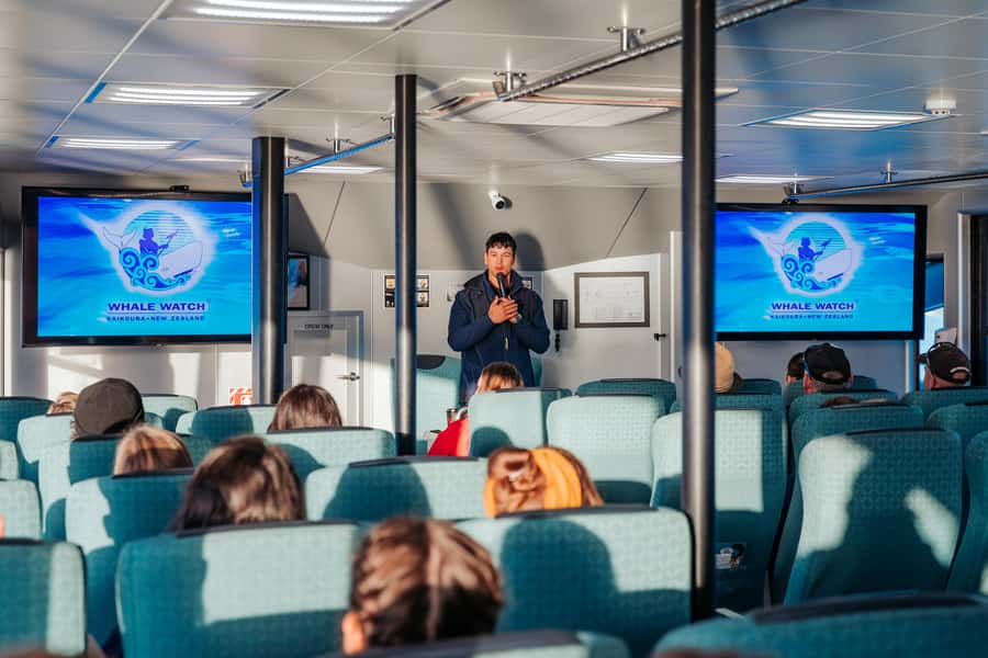 Kaikoura: Whale Watching Cruise - Check-in, transfer, and the first minutes aboard