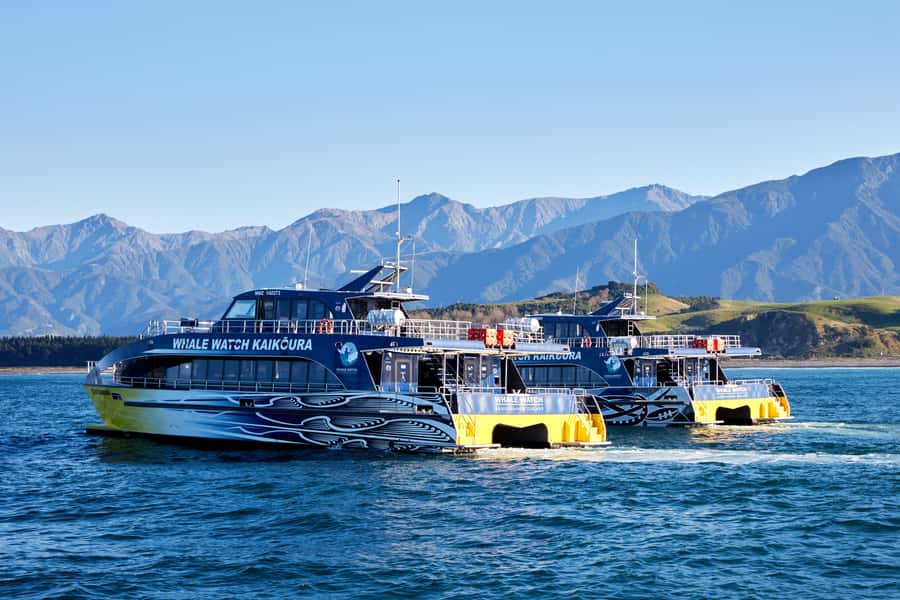 Kaikoura: Whale Watching Cruise - Commentary, Māori knowledge, and animal welfare
