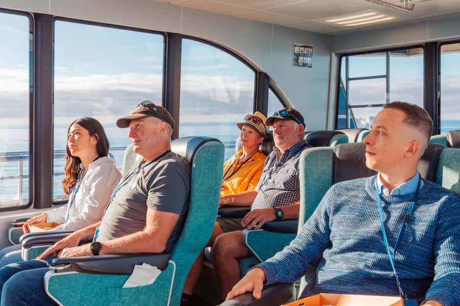Kaikoura: Whale Watching Cruise - The boat, viewing space, and comfort