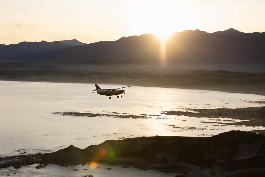 Kaikoura: Whale Watching Flight with Commentary - Thirty minutes over the whale grounds