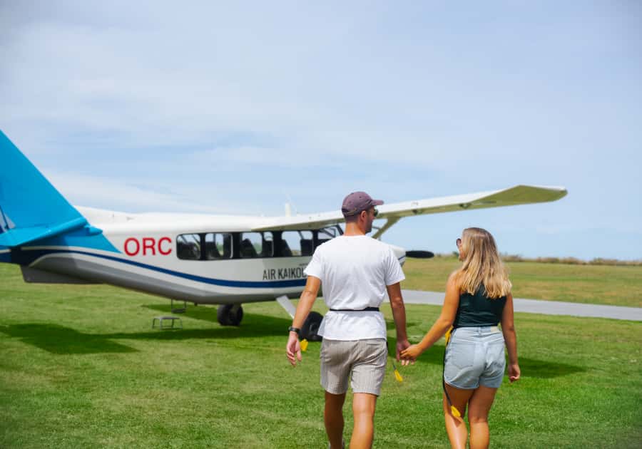 Kaikoura: Whale Watching Flight with Commentary - What you might see below