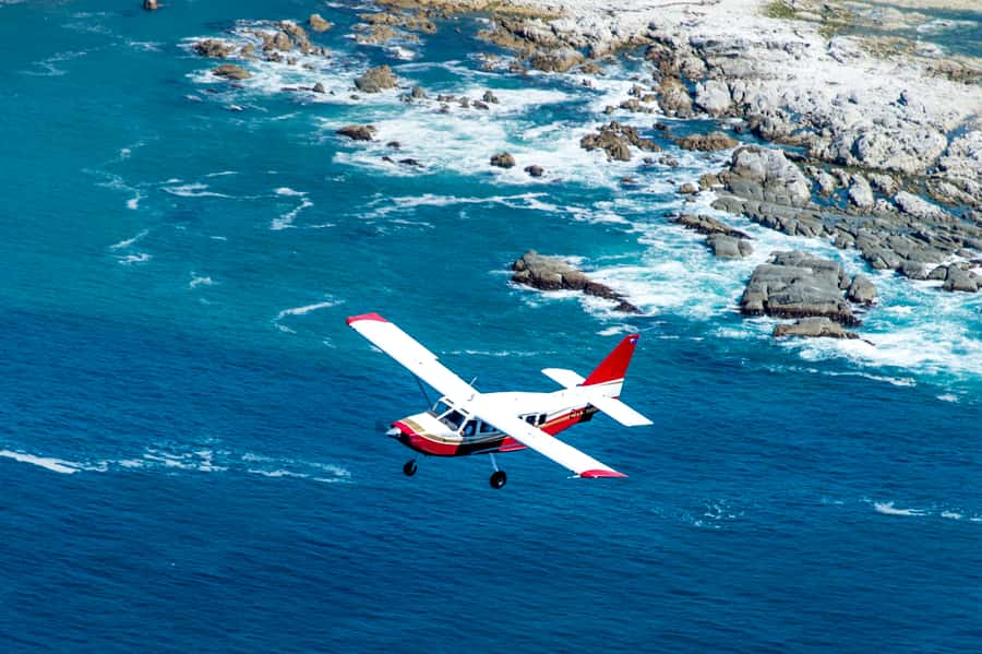 Kaikoura: Whale Watching Flight with Commentary - Weather, timing, and comfort