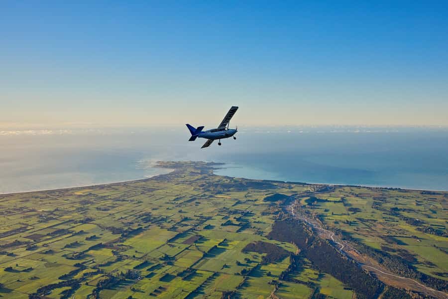 Kaikoura: Whale Watching Flight with Guided Commentary - Why seeing a whale from the air feels different