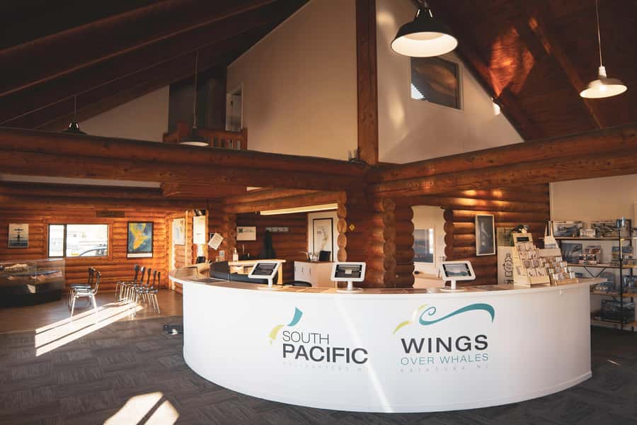 Kaikoura: Whale Watching Flight with Guided Commentary - Is $164 a fair price?