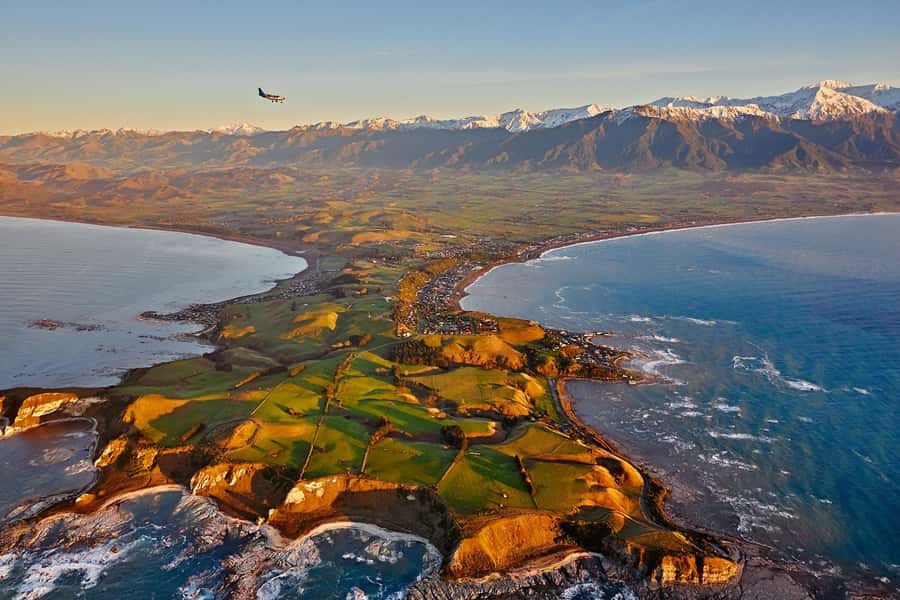 Kaikoura: Whale Watching Flight with Guided Commentary - Who will get the most from this flight?