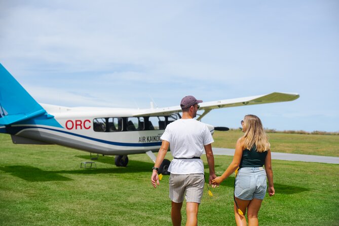 Kaikōura Whale Watching Scenic Flight (40 Minutes) - Why seeing Kaikōura’s whales from the air is different