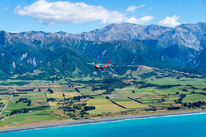 Kaikōura Whale Watching Scenic Flight (40 Minutes) - Weather, rescheduling, and practical limits