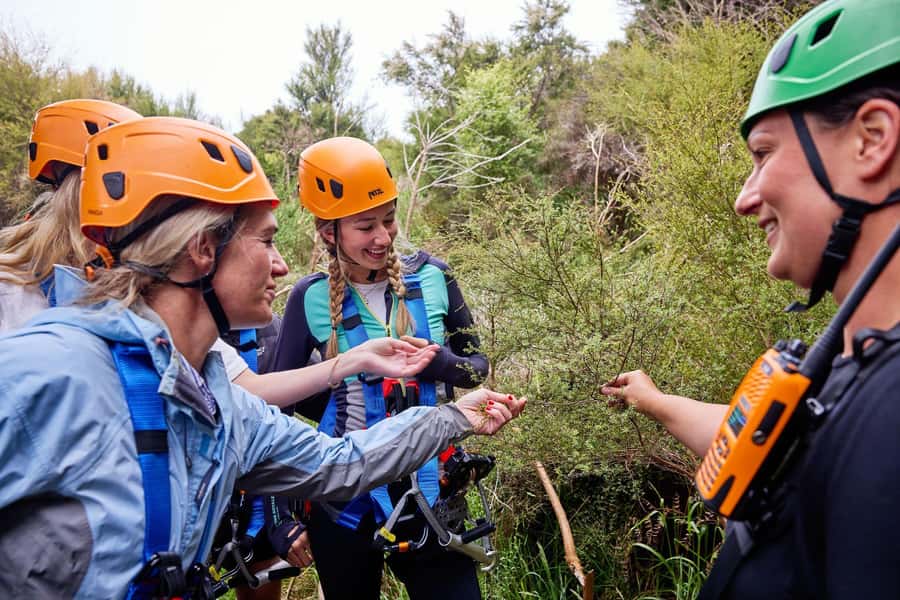 Kaikōura: Zipline and Native Forest Adventure Trip - FAQ
