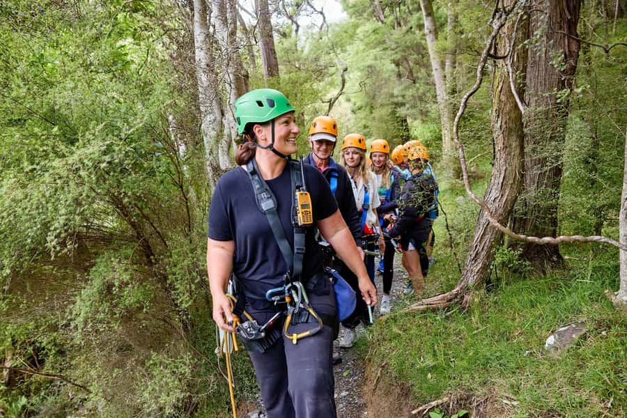 Kaikōura: Zipline and Native Forest Adventure Trip - Guides who make the difference