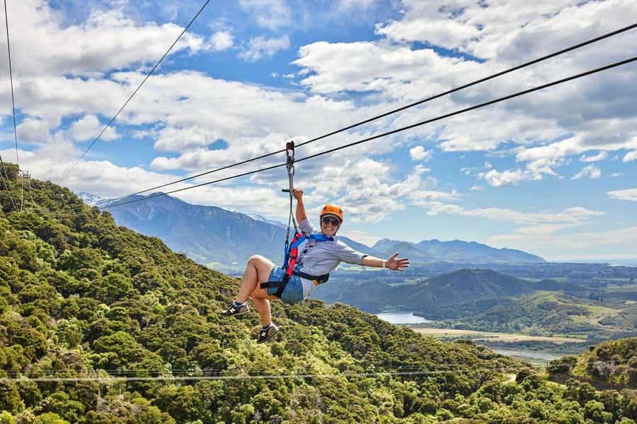 Kaikōura: Zipline and Native Forest Adventure Trip - How much value do you get for $118?