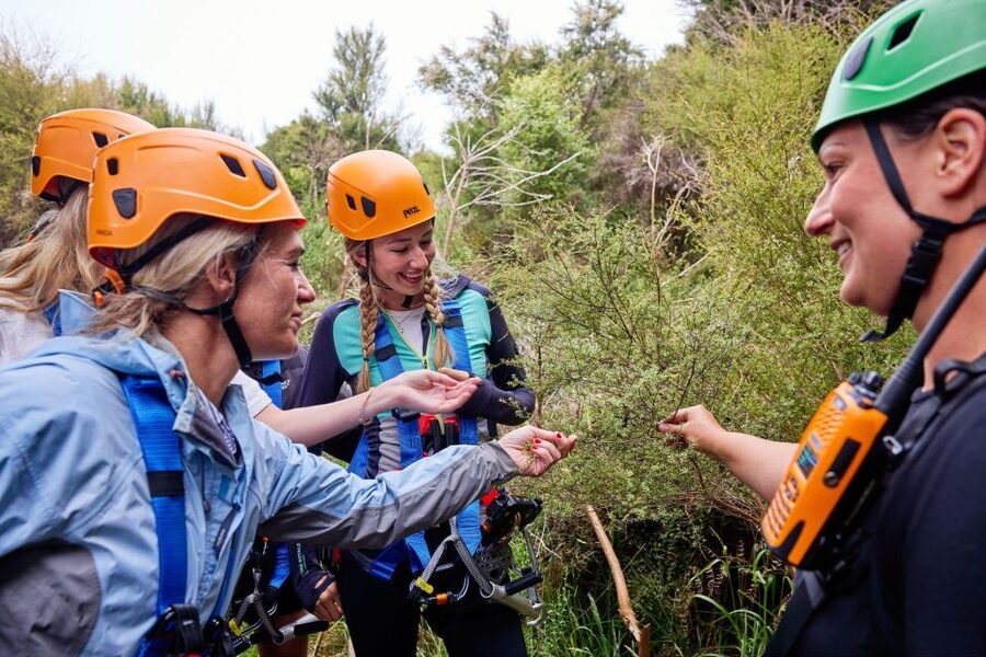 Kaikōura: Zipline and Native Forest Adventure Trip - What to wear and bring