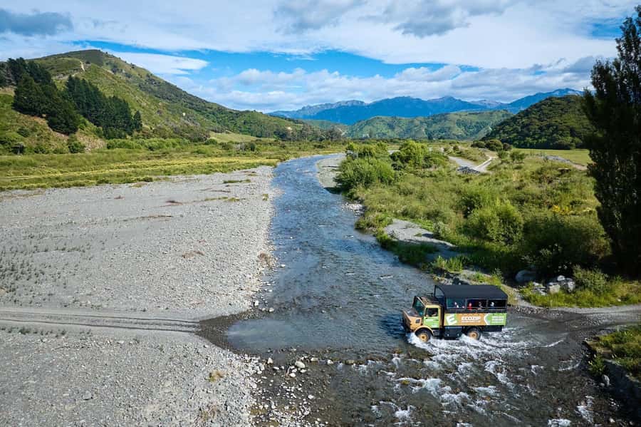 Kaikōura: Zipline and Native Forest Adventure Trip - Who should book this experience?