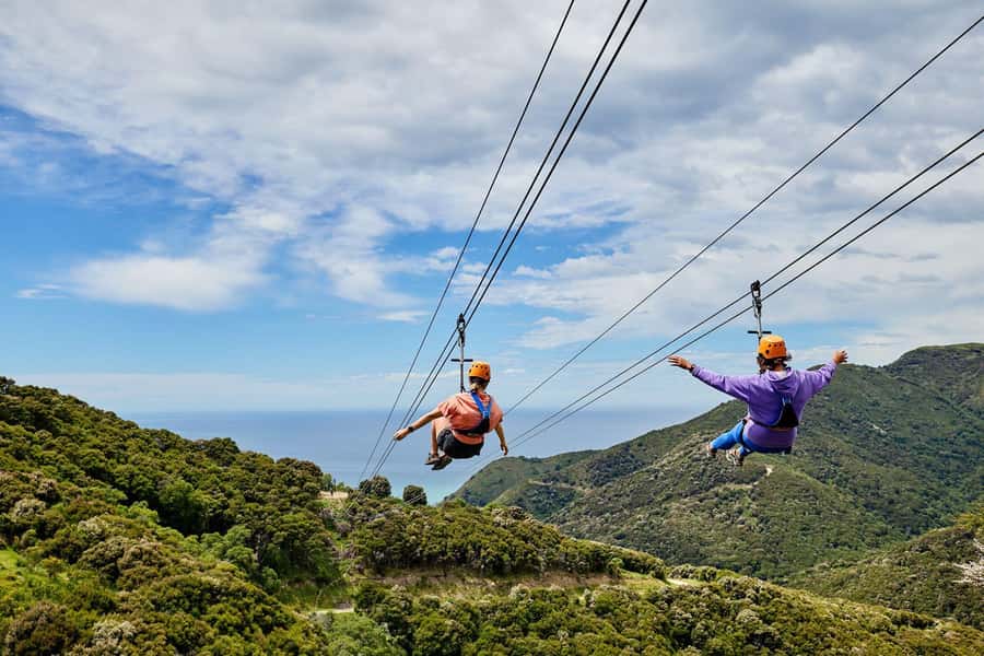 Kaikōura: Zipline and Native Forest Adventure Trip - The native forest walk before the cables