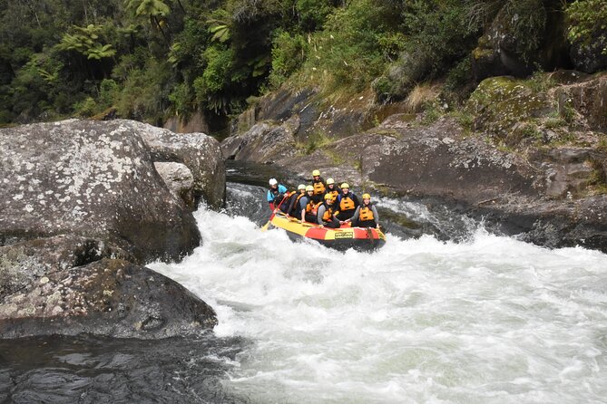 Kaituna Cascades - Grade 5 Wairoa River near Tauranga - The Rollercoaster earns its name