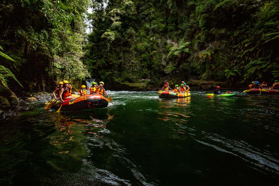 Kaituna River and Tutea Falls Whitewater Rafting - Who should book this rafting trip?