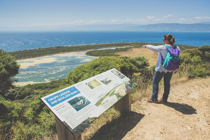 Kapiti Island Classic Guided Day Tour - Why Kapiti Island makes a special day trip