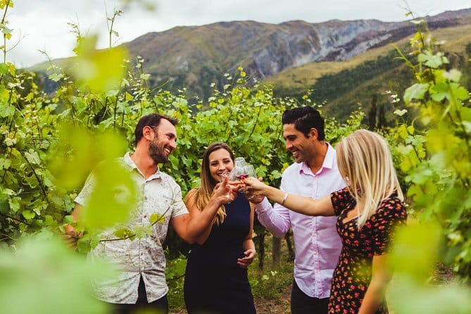 Kapiti Island Classic Guided Day Tour - The one-hour guided nature and history walk