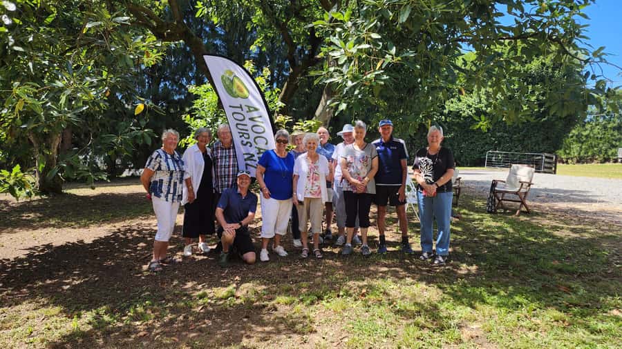Katikati: Guided Avocado Adventures with Tasty Treats - The first hour among the avocado trees