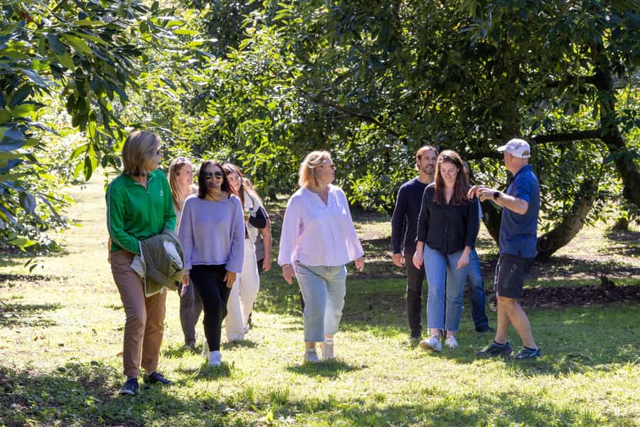 Katikati: Guided Gourmet Avocado Tour - Practical details at 9 Walker Road East