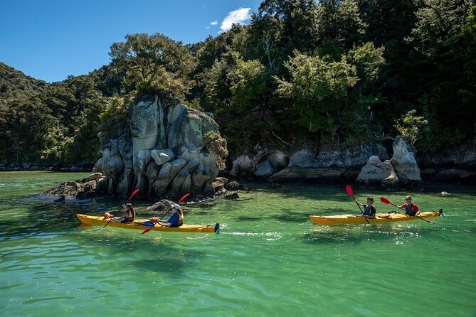 Kayak & Pitt Head Nature Loop - Guided Kayak & Unguided Walk - New Zealand - Walking toward Pitt Head and Anchorage