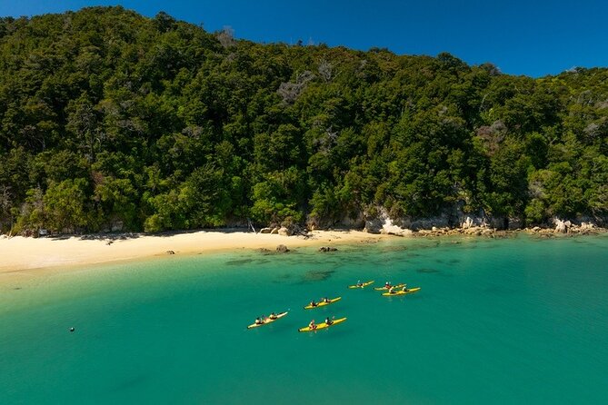 Kayak & Pitt Head Nature Loop - Guided Kayak & Unguided Walk - New Zealand - The water taxi completes the day