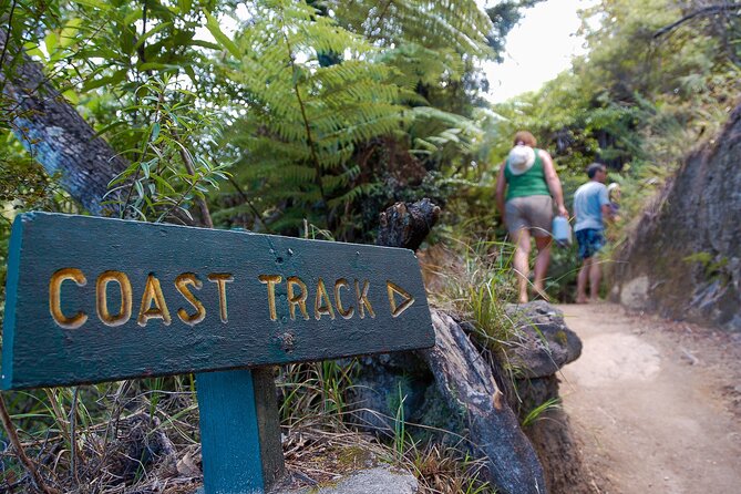 Kayak & Pitt Head Nature Loop - Guided Kayak & Unguided Walk - New Zealand - Lunch with local produce and fresh coffee