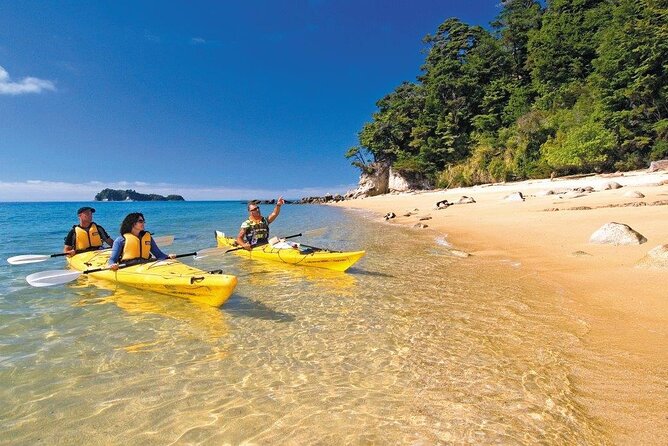 Kayak & Pitt Head Nature Loop - Guided Kayak & Unguided Walk - New Zealand - Meeting the group in Marahau at 8:15 am