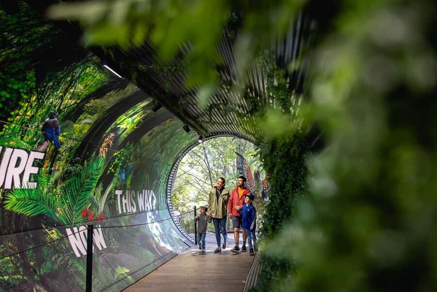 Kiwi Park Admission Ticket - A practical schedule for one visit