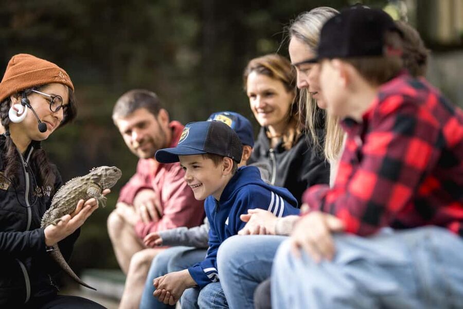 Kiwi Park Admission Ticket - Booking, cancellation, and overall value